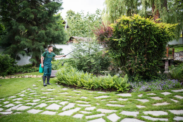 Wasp Removal Services in Live Oak, FL