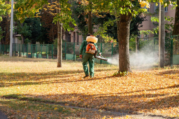 Best Affordable Pest Control Services  in Live Oak, FL